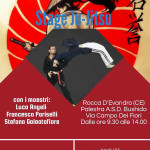 stage jujitsu Caserta